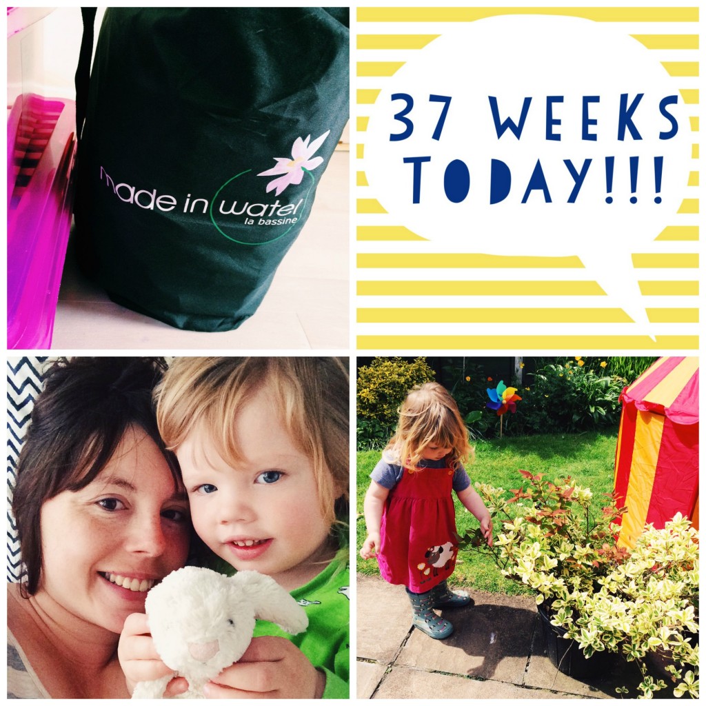 1. Hello Pool! (Sunday) // 2. 37 weeks (Monday) // 3. Morning snuggles (Monday) // 4. Exploring the garden (Monday)