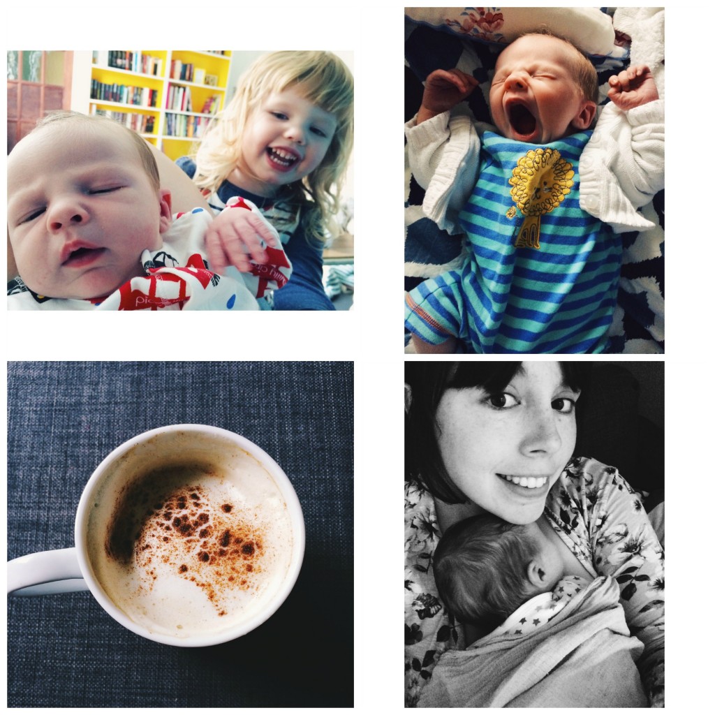 1. Siblings (Monday) // 2. Being a newborn is exhausting! (Tuesday) // 3. Chai tea lattes are keeping me topped up with milk! (Tuesday) // 4. Whenever Indy wants comfort, he shuffles himself up and tucks his head underneath my chin (Wednesday)